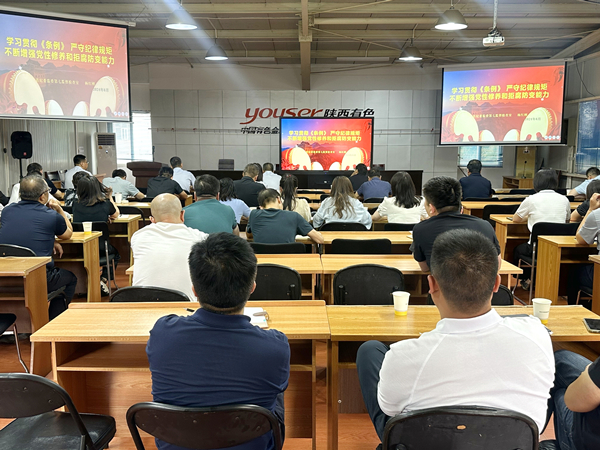 以案為鑒 警鐘長鳴｜公司紀(jì)委組織開展黨紀(jì)學(xué)習(xí)教育警示教育會